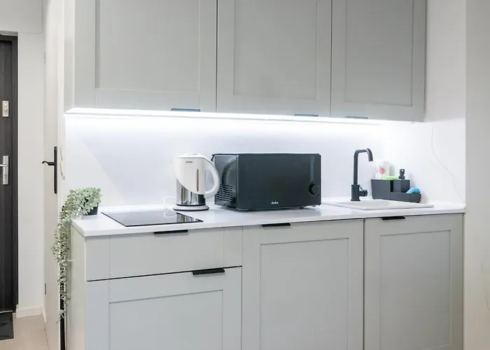 Komfortowe Mieszkanie Blisko Parku Apartment *