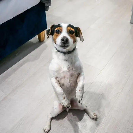 아파트 Komfortowe Mieszkanie Blisko Parku *