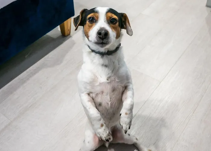 Apartment Komfortowe Mieszkanie Blisko Parku *